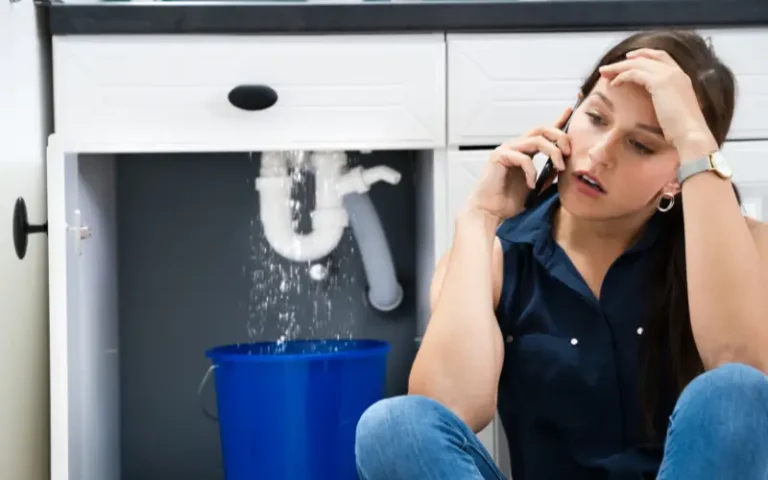 Common Plumbing Issues and How to Prevent Them